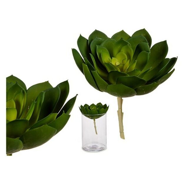 Dekoratyvinis augalas Žalia Plastmasinis