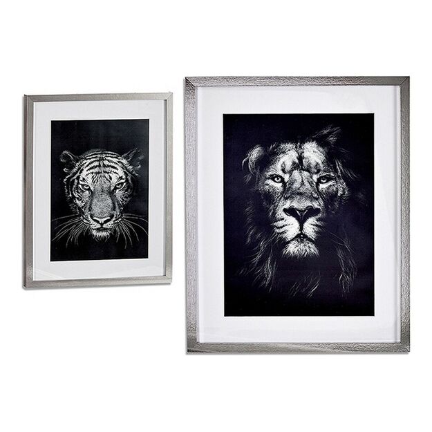 Paveikslas Lion - Tiger (43 x 3 x 53 cm)