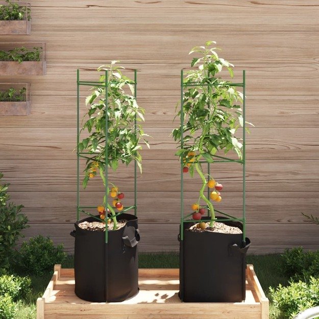 Pomidorų narvas su augalų maišeliu, 2vnt., 116cm, plienas ir pp