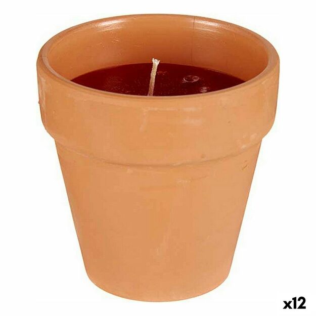 Žvakė Pelargonija 8 x 8 x 8 cm (12 vnt.)