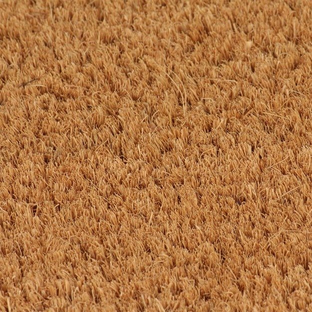 Durų kilimėlis, natūralus, 100x300cm, kokoso pluoštas