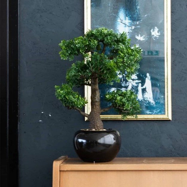 Emerald dirbtinis fikusas, mini bonsai medis, žalias, 47cm, 420006
